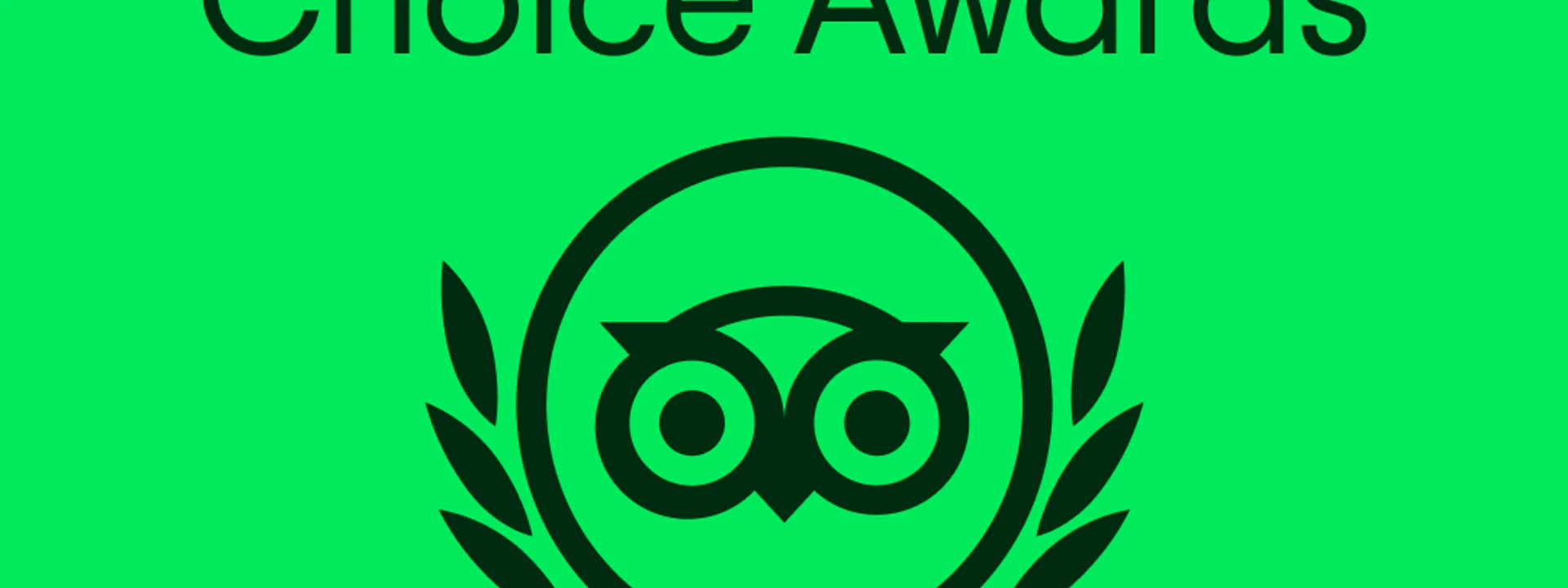 Tripadvisor Travelers’ Choice award 2025