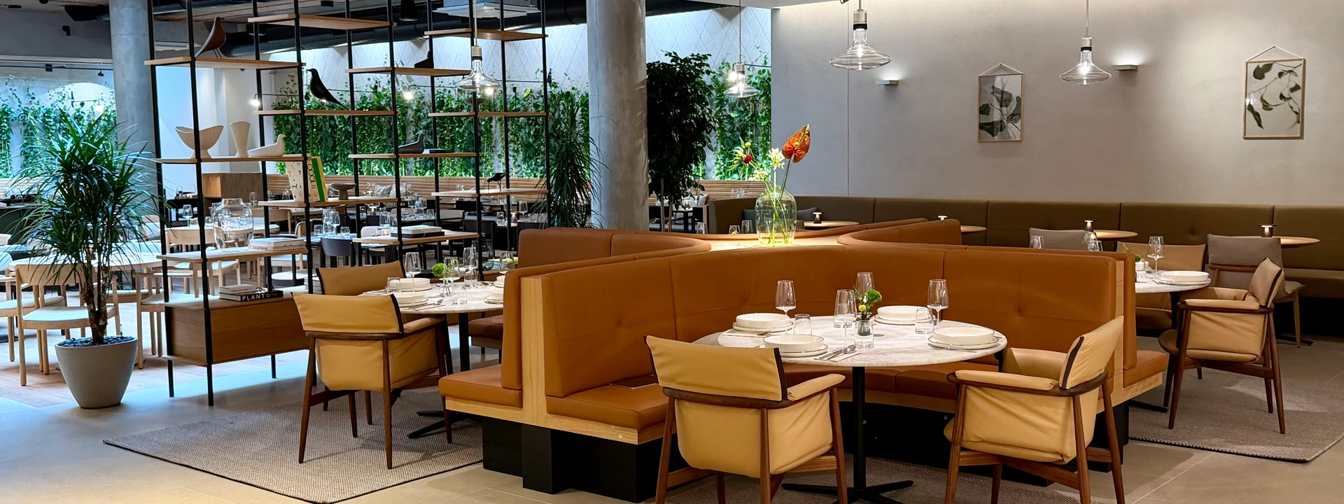 We are back, fully renovated!