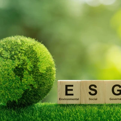 ESG audit
